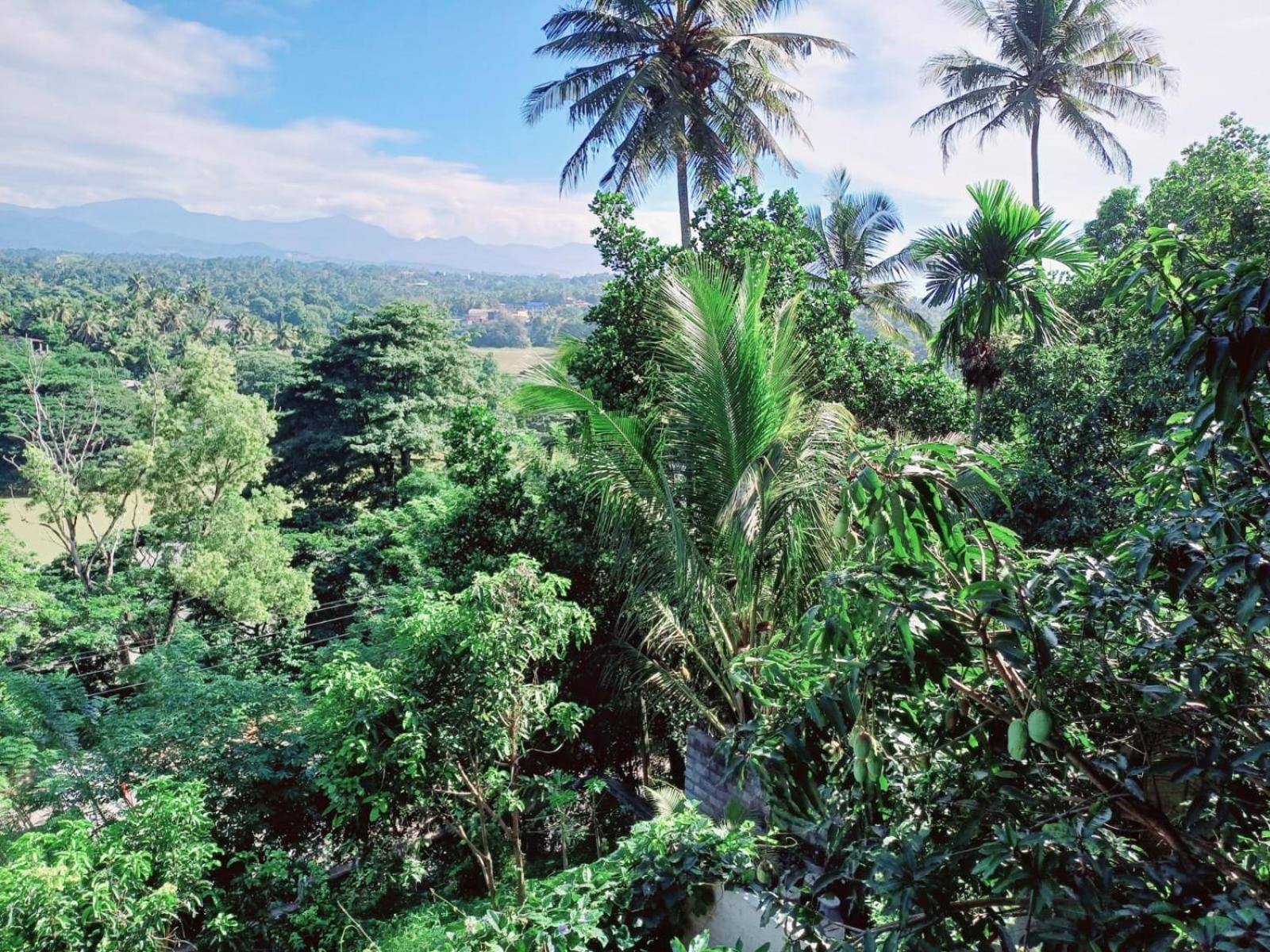 The Traveller Kandy Luaran gambar