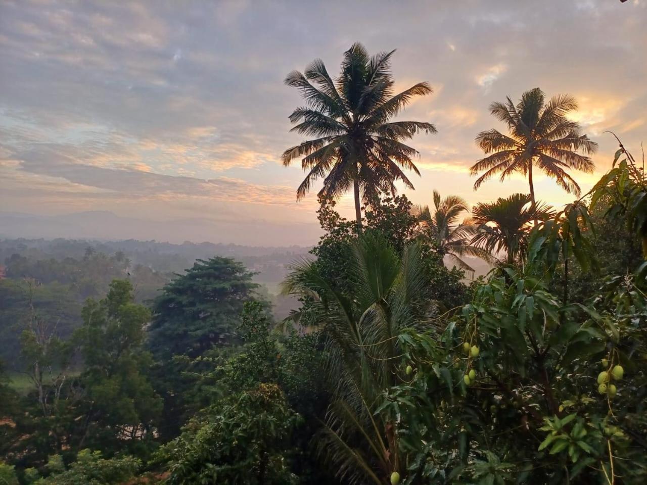 The Traveller Kandy Luaran gambar